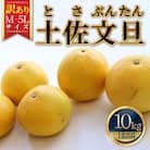 【訳あり】土佐文旦 家庭用(M～5L混合サイズ)約10kg