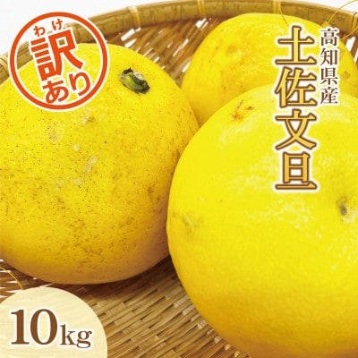 【訳あり】土佐文旦 家庭用 (M～5L混合サイズ) 約10kg