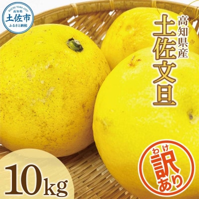 【訳あり】土佐文旦 家庭用 (M～5L混合サイズ) 約10kg