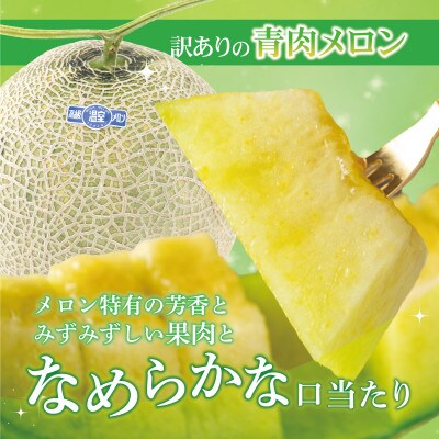 【訳あり】 土佐の青肉メロン【琉】 2玉入 家庭用 合計約3kg以上