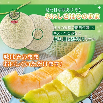 【訳あり】 土佐の青肉メロン【琉】 2玉入 家庭用 合計約3kg以上