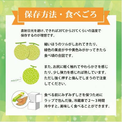 【訳あり】 土佐の青肉メロン【琉】 2玉入 家庭用 合計約3kg以上