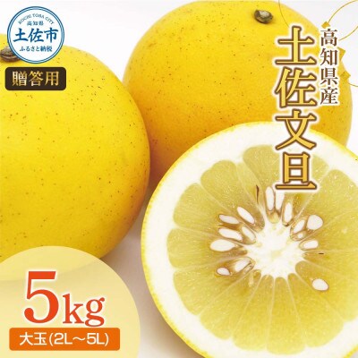 土佐文旦(ぶんたん) (大玉:2L～5L混合) 約5kg 贈答用にも