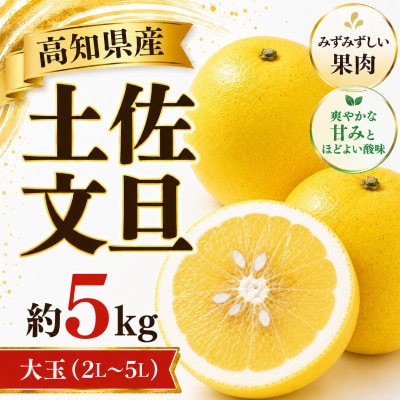 土佐文旦(ぶんたん) (大玉:2L～5L混合) 家庭用 約5kg 贈答用にも