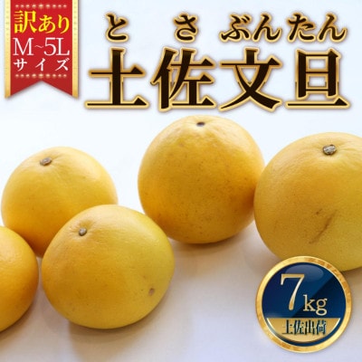 【訳あり】土佐文旦(ぶんたん)家庭用(M～5L混合サイズ)約7kg