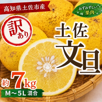 【訳あり】土佐文旦 (ぶんたん) 家庭用 (M～5L混合サイズ) 約7kg