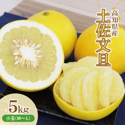 土佐文旦(ぶんたん) (小玉サイズ:M～L混合) 約5kg