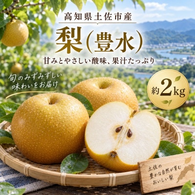 梨 豊水 約2kg ほうすい 先行予約 2027年発送 高知県土佐市産　