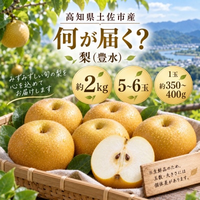 梨 豊水 約2kg ほうすい 先行予約 2027年発送 高知県土佐市産　