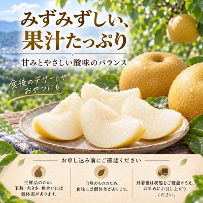 梨 豊水 約2kg ほうすい 先行予約 2027年発送 高知県土佐市産　