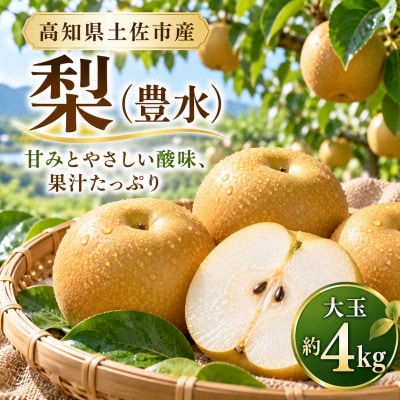 梨 豊水 大玉 約4kg ほうすい 先行予約 2027年発送 高知県土佐市産　