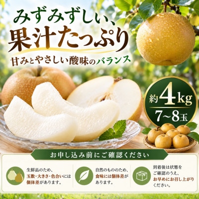 梨 豊水 大玉 約4kg ほうすい 先行予約 2027年発送 高知県土佐市産　