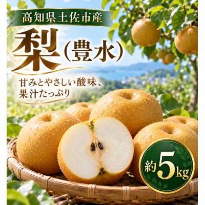 梨 豊水 約5kg(5キロ) ほうすい 先行予約 2027年発送 高知県土佐市産