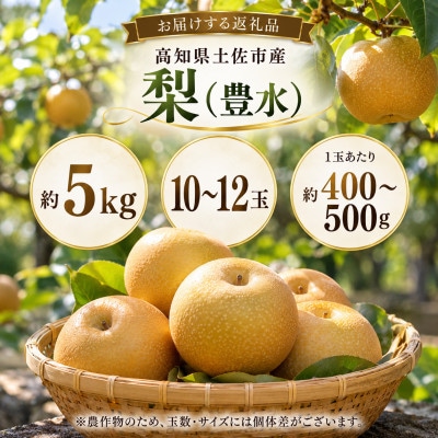 梨 豊水 約5kg(5キロ) ほうすい 先行予約 2027年発送 高知県土佐市産