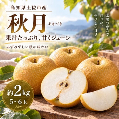 梨 秋月 約2kg あきづき 先行予約 2027年発送