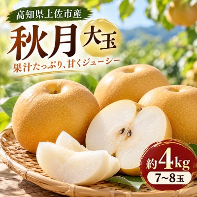 梨 秋月 大玉 約4kg あきづき 先行予約 2027年発送