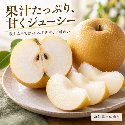 梨 秋月 大玉 約4kg あきづき 先行予約 2027年発送