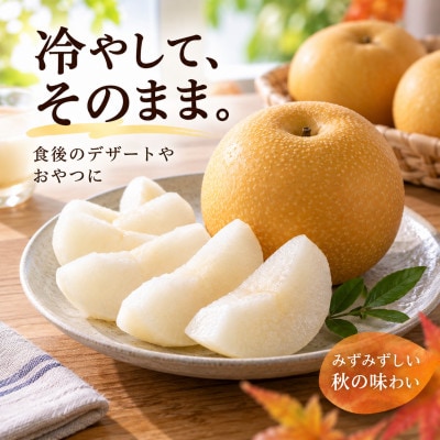 梨 秋月 大玉 約4kg あきづき 先行予約 2027年発送