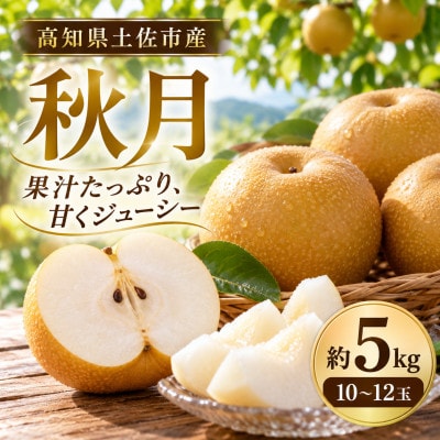 梨 秋月 約5kg あきづき 先行予約 2027年発送 5キロ