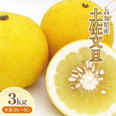土佐文旦(ぶんたん) (大玉:2L～5L混合) 約3kg 贈答用にもおすすめ