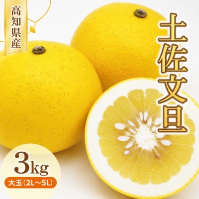 土佐文旦(ぶんたん) (大玉:2L～5L混合) 家庭用 約3kg 贈答用にもおすすめ