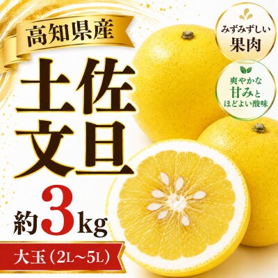 土佐文旦(ぶんたん) (大玉:2L～5L混合) 家庭用 約3kg 贈答用にもおすすめ