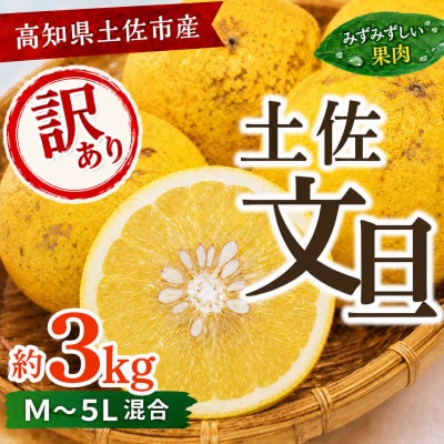 訳あり 土佐文旦(ぶんたん) 家庭用(M～5L混合サイズ) 約3kg