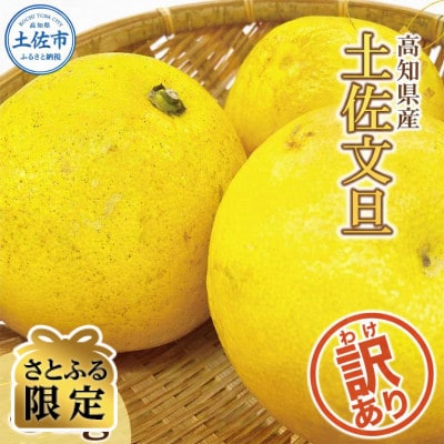 【さとふる限定】訳あり 土佐文旦 家庭用 (M～5L混合サイズ) 約5kg 大玉入り