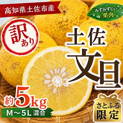 【さとふる限定】訳あり 土佐文旦 家庭用 (M～5L混合サイズ) 約5kg 大玉入り