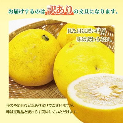 【さとふる限定】訳あり 土佐文旦 家庭用 (M～5L混合サイズ) 約5kg 大玉入り