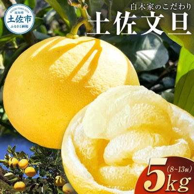 白木屋のこだわり土佐文旦 約5kg(露地)