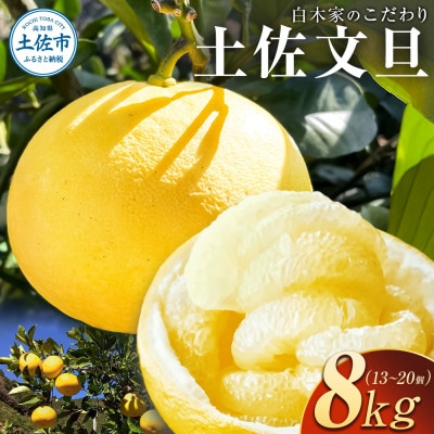 白木屋のこだわり土佐文旦 約8kg(露地)