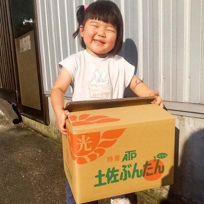 白木屋のこだわり土佐文旦 約8kg(露地)