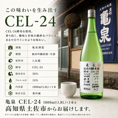 純米吟醸 生原酒 CEL-24(セル24) 1800ml(1.8L)(生酒) 亀泉酒造の甘口な日本酒