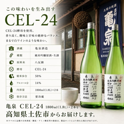 純米吟醸 生原酒 CEL-24(セル24)1800ml(生酒) 2本セット 亀泉酒造の甘口な日本酒