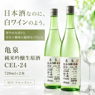 純米吟醸 生原酒 CEL-24(セル24)720ml(生酒) 2本セット 亀泉酒造の甘口な日本酒