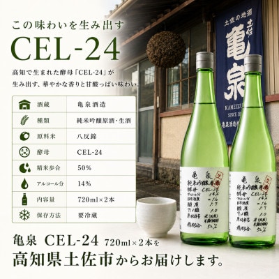 純米吟醸 生原酒 CEL-24(セル24)720ml(生酒) 2本セット 亀泉酒造の甘口な日本酒