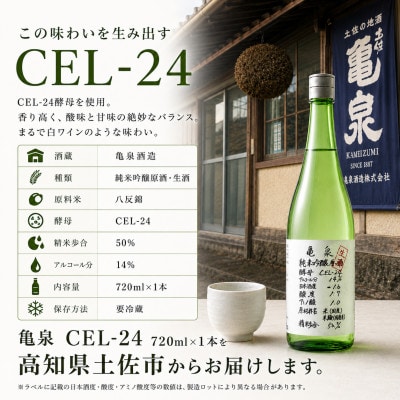 【さとふる限定】純米吟醸 生原酒 CEL-24 (セル24) 720ml×1本 亀泉の甘口な日本酒