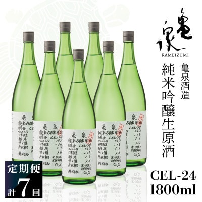 【発送月固定定期便】純米吟醸生原酒CEL-241800ml(1.8L) 亀泉酒造の甘口な日本酒全7回