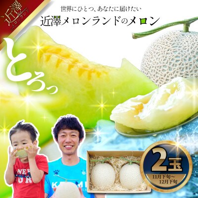 【近澤メロンランド】2025年冬発送　メロン2玉入(1玉約1.4kg～1.8kg)
