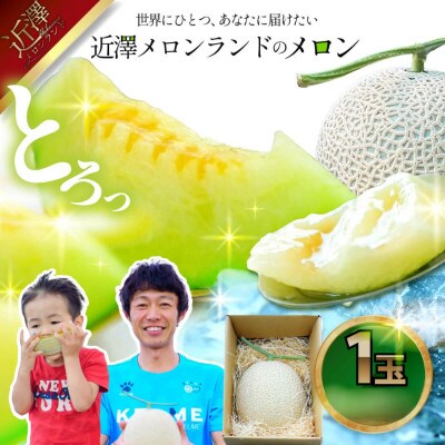 【近澤メロンランド】2026年夏発送　メロン　1玉入(約1.4kg～1.8kg)