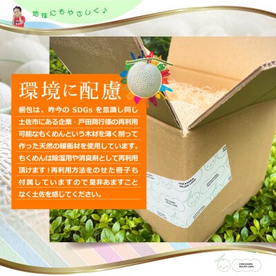 【近澤メロンランド】2026年夏発送　メロン　1玉入(約1.4kg～1.8kg)