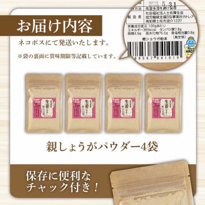 (親しょうが)お手軽ヘルシー高知県産しょうがパウダー30g×4袋セット