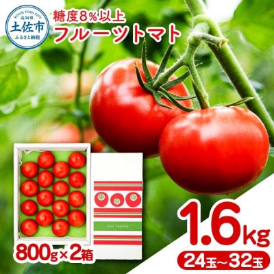 【先行予約】フルーツトマト 約1.6kg  糖度8度以上 《2027年2月上旬から順次発送》