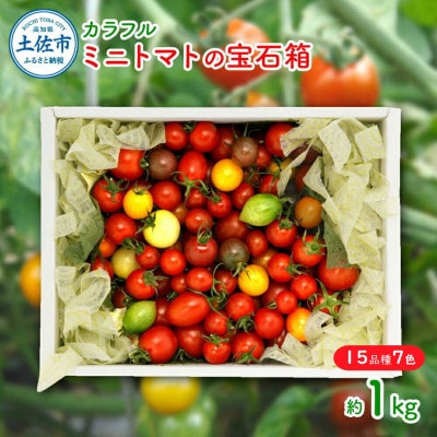 【先行予約】カラフルミニトマトの宝石箱　約1kg《2026年11月下旬から順次発送》