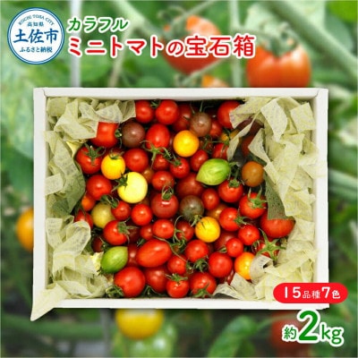 【先行予約】カラフルミニトマトの宝石箱　約2kg《2026年11月下旬から順次発送》