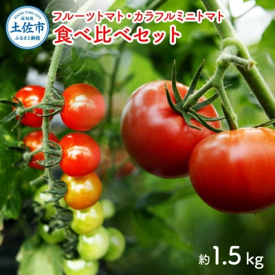 【先行予約】フルーツトマト食べくらべセット 約1.5kg 《2027年2月上旬から順次発送》
