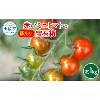 【先行予約】【訳あり】赤いミニトマトの宝石箱 約1kg《2026年11月下旬から順次発送》