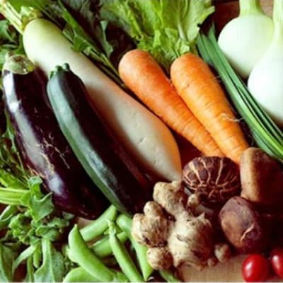 【毎月定期便】旬の朝採れ土佐野菜詰め合わせ(10～13品目)全6回