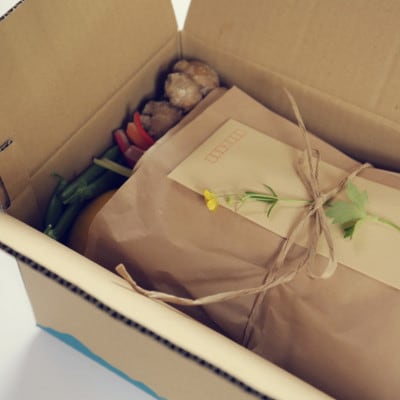 【毎月定期便】旬の朝採れ土佐野菜詰め合わせ(10～13品目)全6回